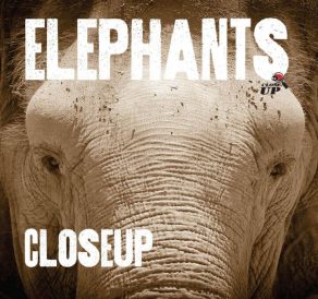 Elephants Up Close - Wild Dog Books