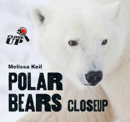 Polar Bears Close Up - Wild Dog Books
