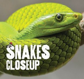Snakes Close Up - Wild Dog Books
