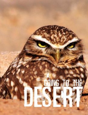 Going To The Desert - Wild Dog Books