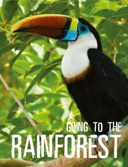 Going To The Rainforest - Wild Dog Books