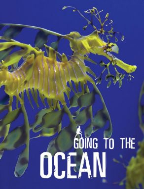 Going To The Ocean - Wild Dog Books
