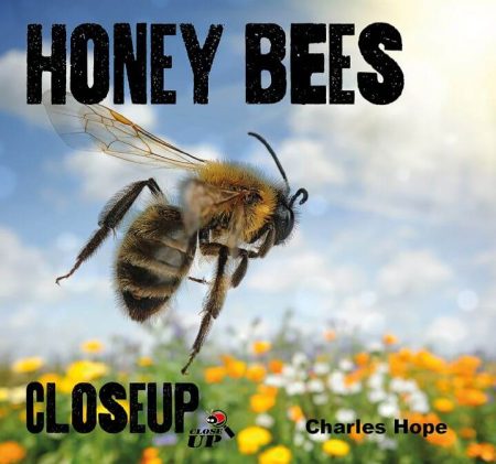 Honey Bees Close Up - Wild Dog Books
