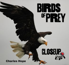 Birds of Prey Close Up - Wild Dog Books