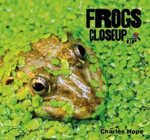 Frogs Close Up - Wild Dog Books