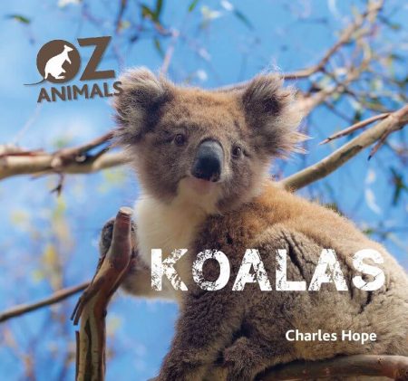Oz Animals: Koalas - Wild Dog Books