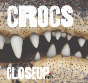 Crocs Close Up - Wild Dog Books
