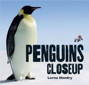 Penguins Close Up - Wild Dog Books