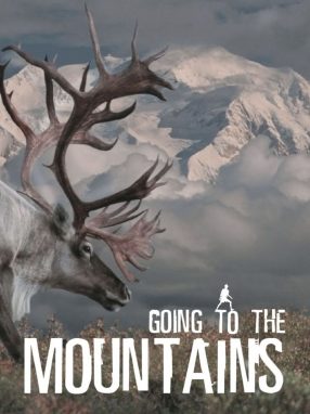 Going To Mountains - Wild Dog Books