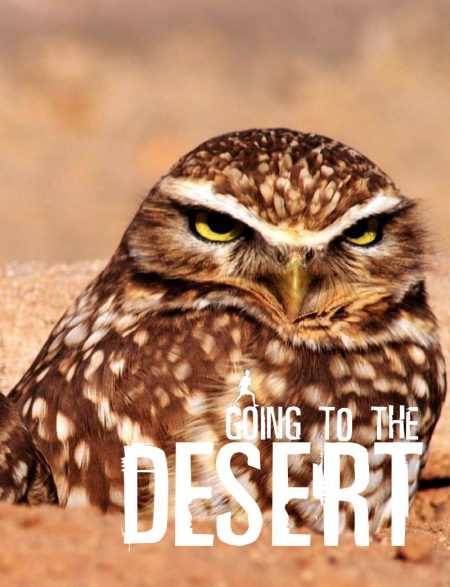 Going To The Desert - Wild Dog Books