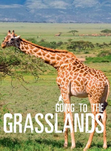 Going To The Grasslands - Wild Dog Books