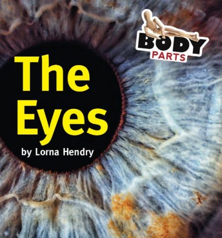 Body Parts The Eyes - Wild Dog Books