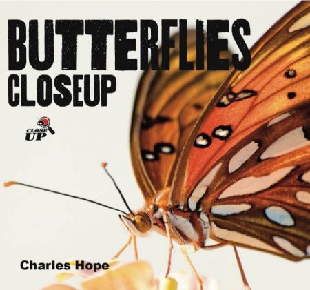 Butterflies Close Up - Wild Dog Books