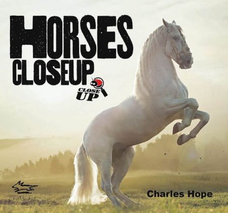 Horses Close Up - Wild Dog Books