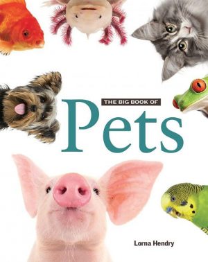 The Big Book of Pets - Wild Dog Books