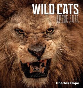 Wild Cats on the Edge - Wild Dog Books